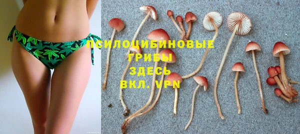 гидропоника Белоозёрский