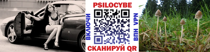 сколько стоит  Павловск  Псилоцибиновые грибы Magic Shrooms 