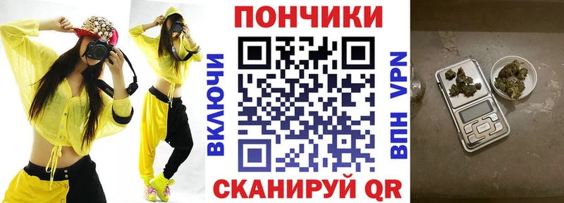 Канабис MAZAR  купить   Павловск 